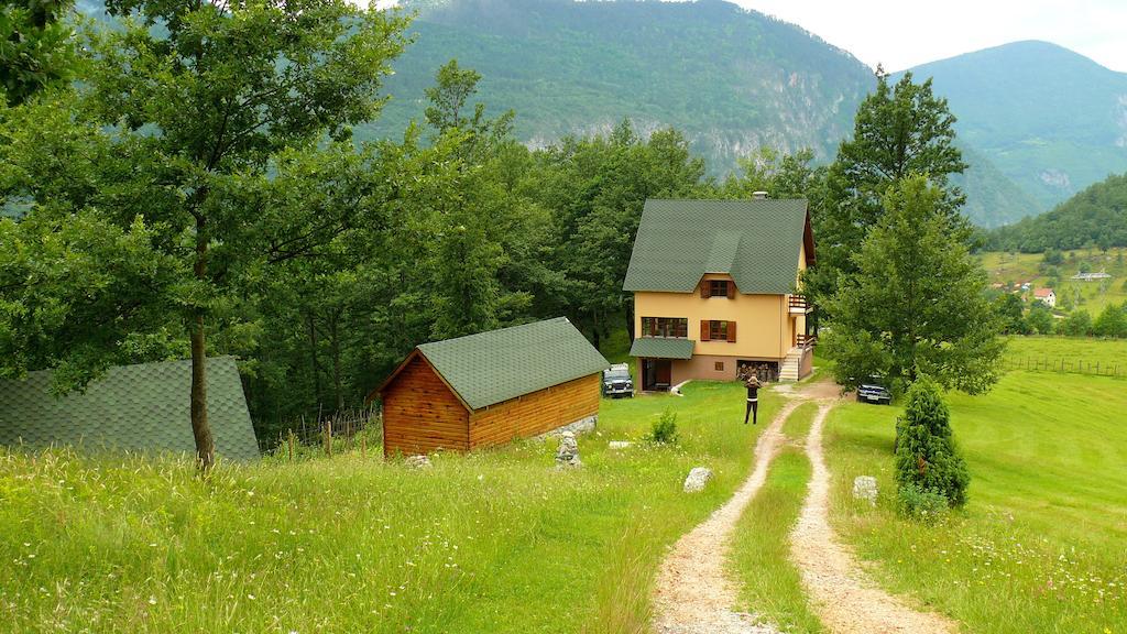 Guest House Tara Canyon Pljevlja Eksteriør billede