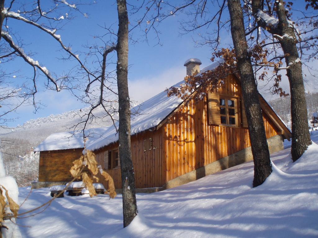 Guest House Tara Canyon Pljevlja Eksteriør billede