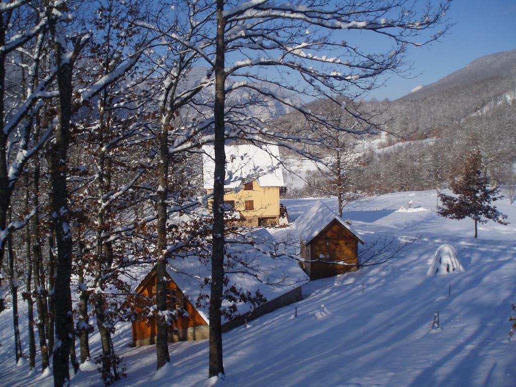 Guest House Tara Canyon Pljevlja Eksteriør billede